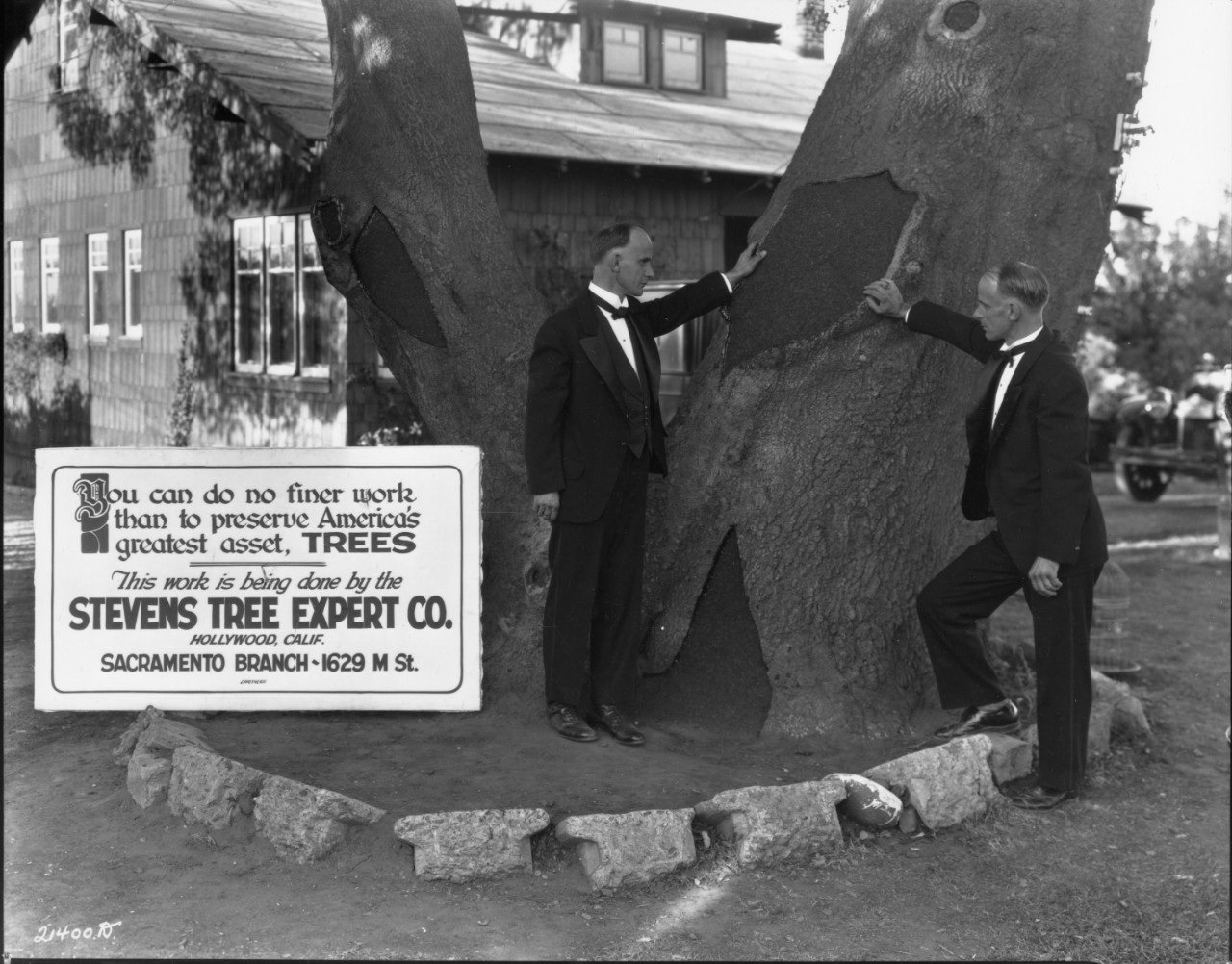 Two men standing by a tree
